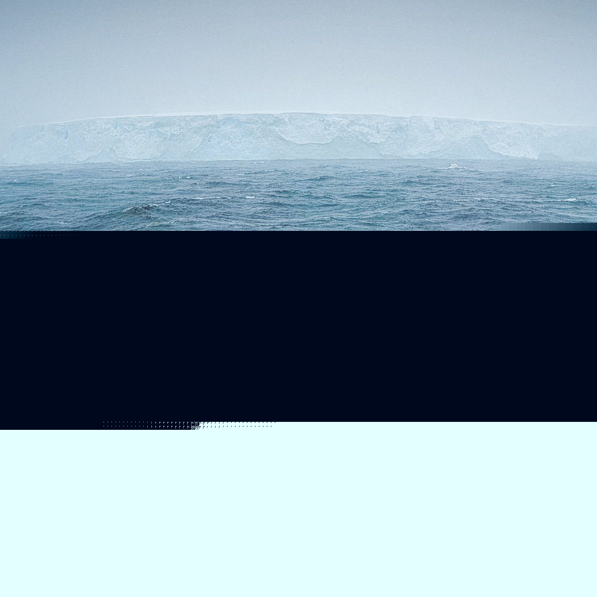 Shearwater - The New World