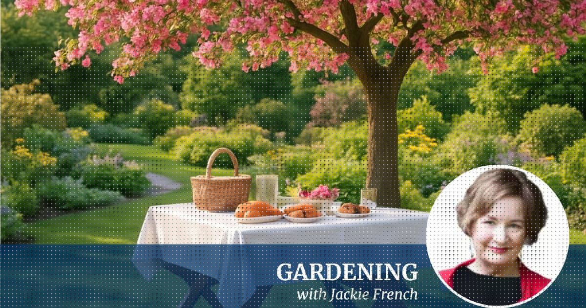 Got a compact garden but want some shade? Try these cool trees