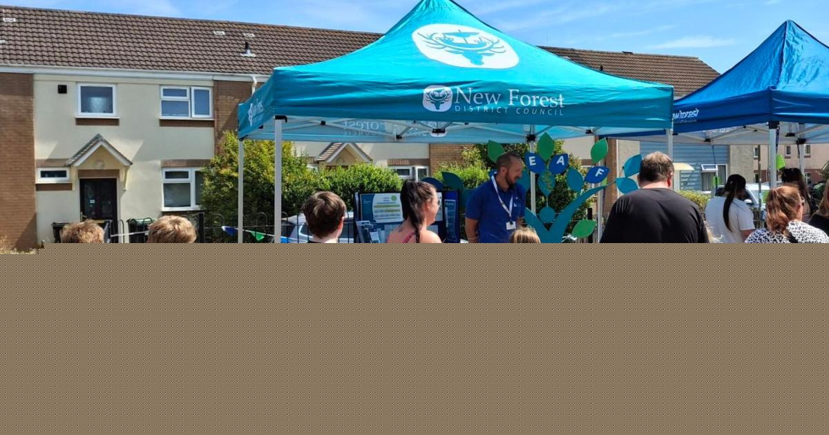 New strategy approved to improve experience of council tenants in New Forest