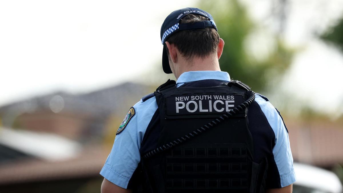 Oallen, NSW: Body found inside suitcase on side of road revealed as not being human, police say