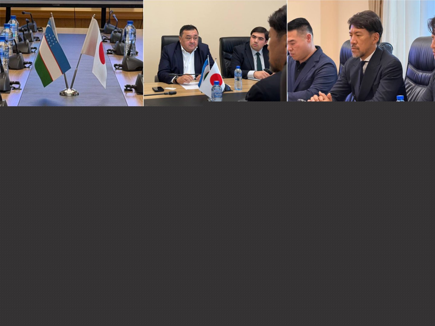 Uzbekistan discusses privatization, investment with Japan's Proud Partners
