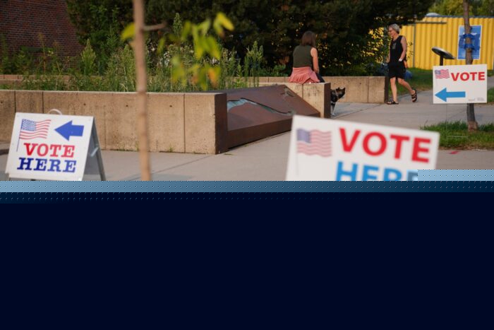 Cook County voters weigh in on statewide and local primary races