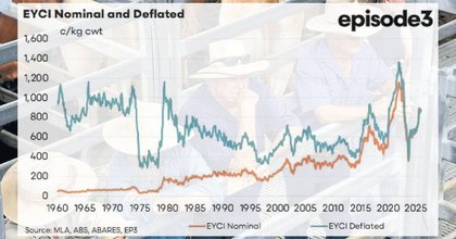Real picture of today's cattle market in bullocks-to-buy-a-LandCruiser terms