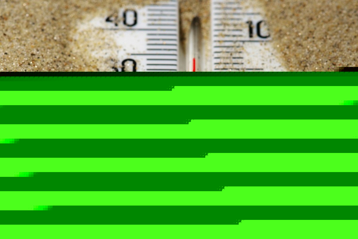 7 Steps to Reduce the Heat in Your Vehicle in East Texas