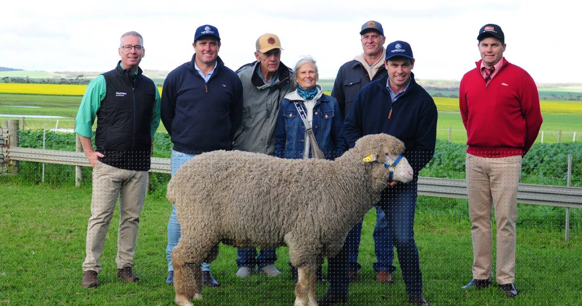 Why these Canadian wool producers flew across the world to secure EP ram