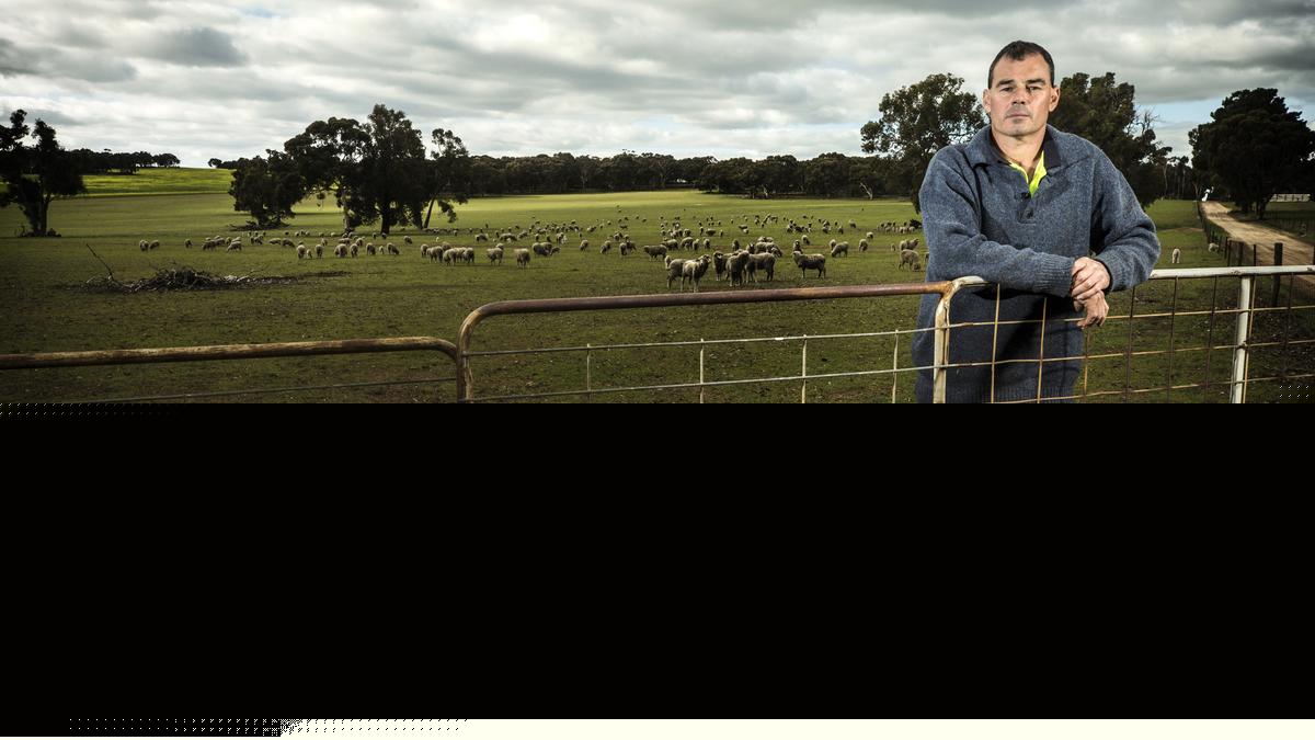Global conflict, natural disasters, policies: Report captures hurdles faced by Australian grain growers