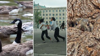 NPR readers celebrate World Photography Day with stories behind their favorite photos