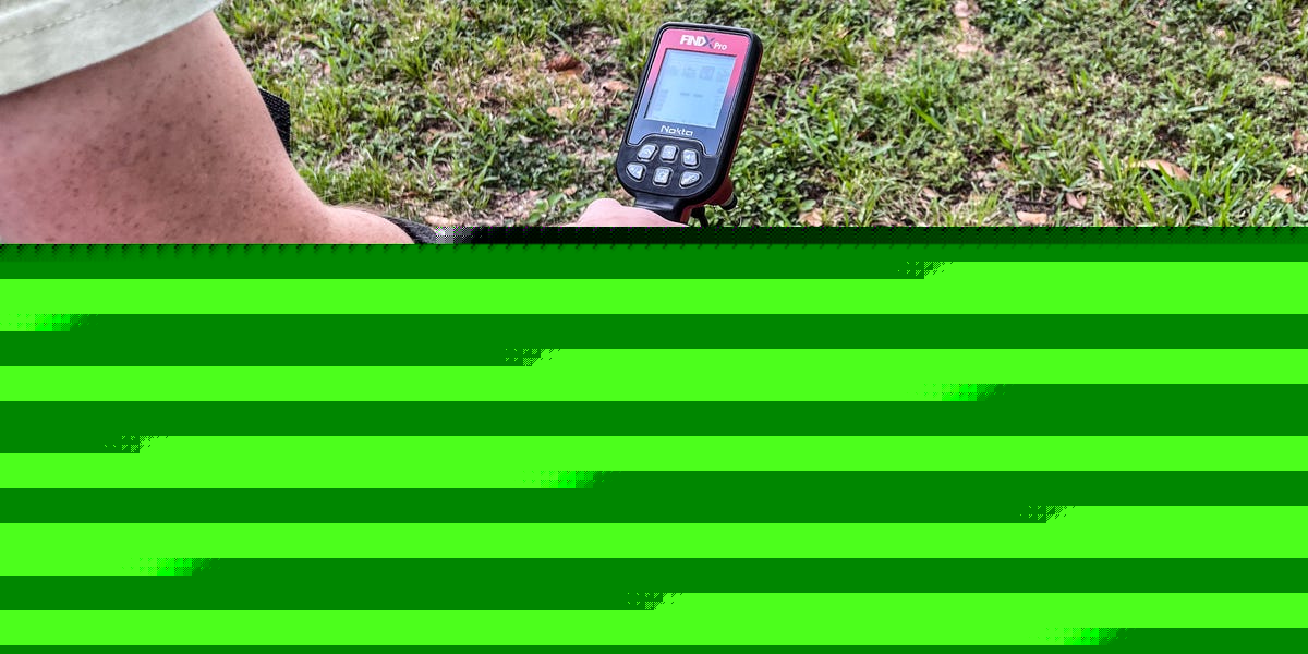 The 5 Best Metal Detectors for Treasure Hunters and Experts Alike