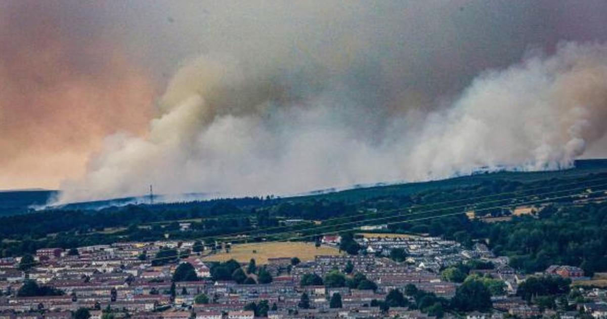 Wales wildfires intensify calls for resilient land management