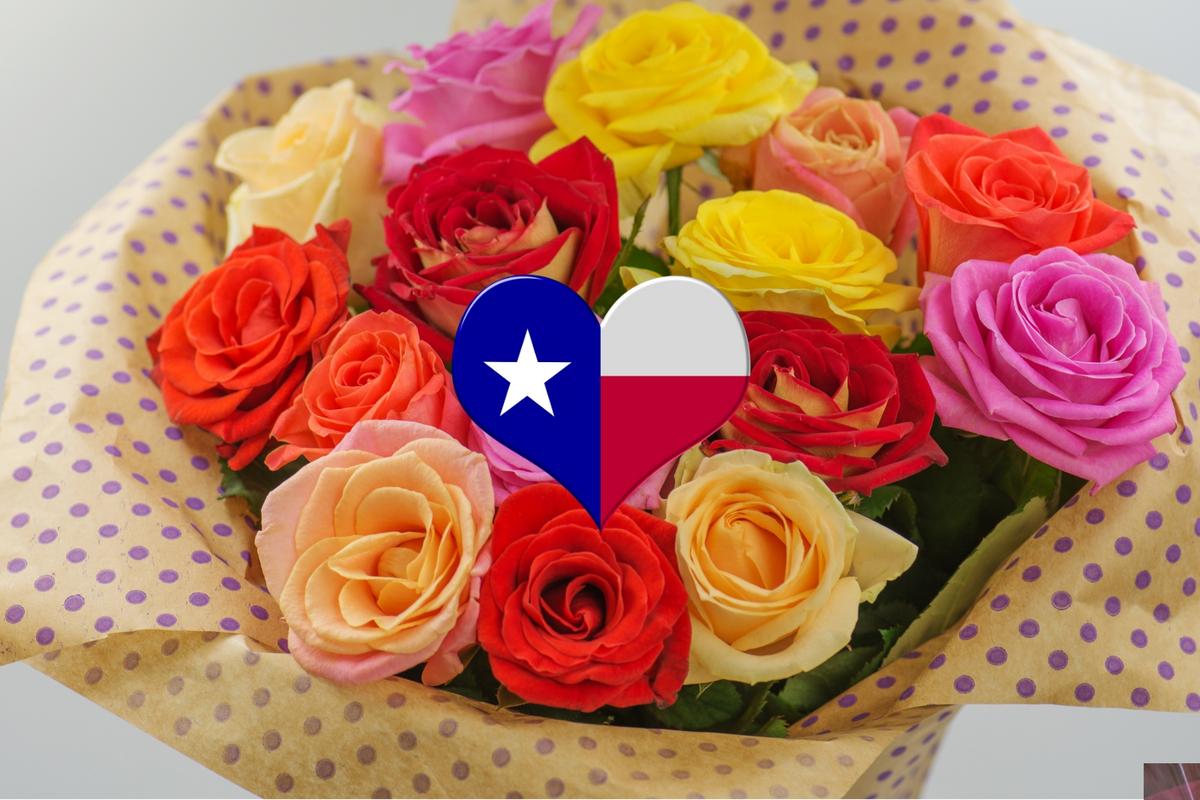 What Do Different Rose Colors Symbolize For Valentine's Day?