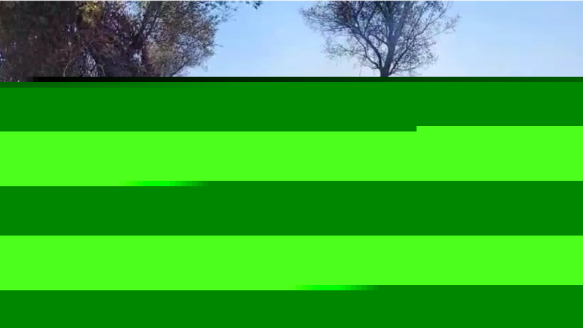 Zjarr në Libofshë, flakët përfshijnë një sipërfaqe me shkurre dhe pemë