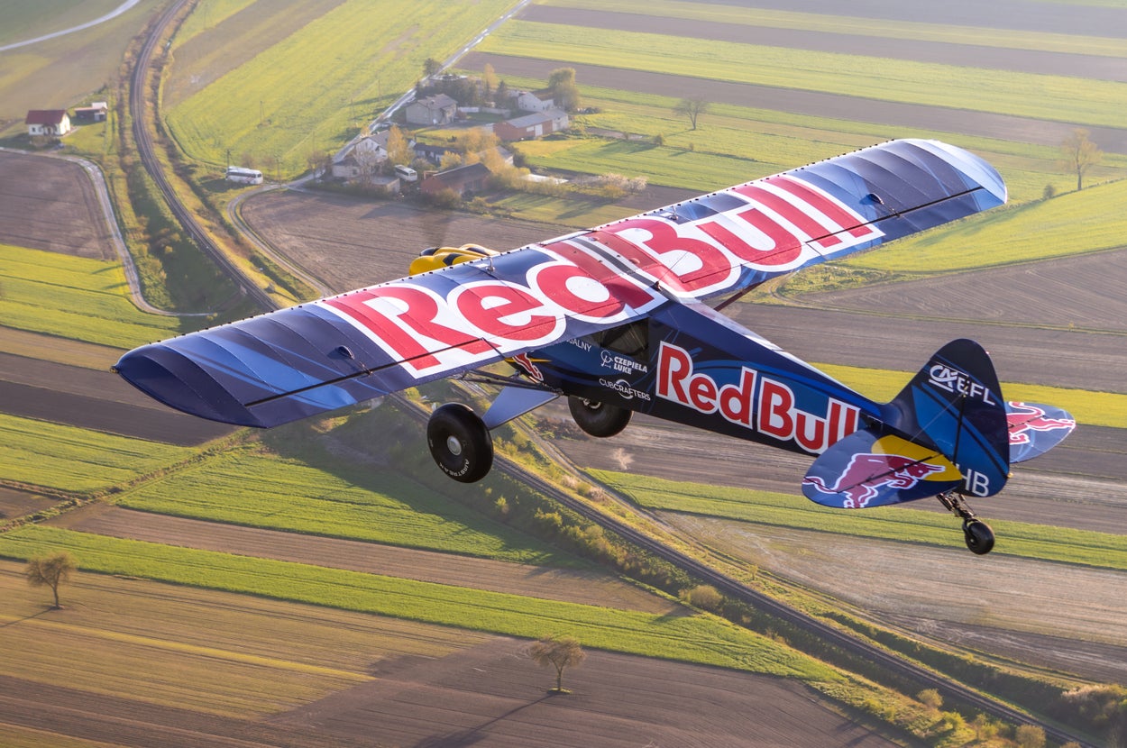 Answer These Random Questions And We'll Reveal Which Red Bull Flavor Matches Your Personality