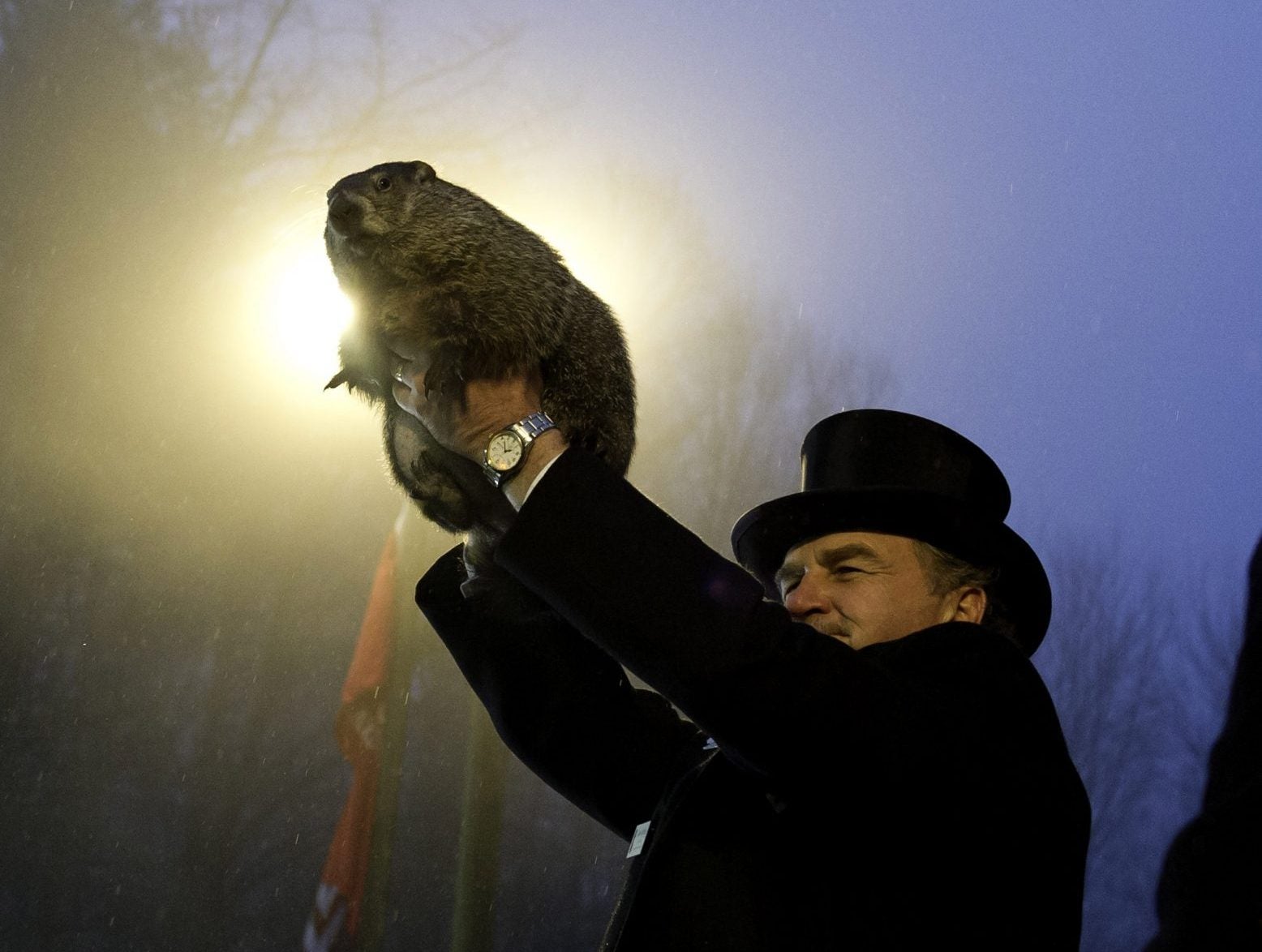 Groundhog Games: Woody the Woodchuck and Punxsutawney Phil
