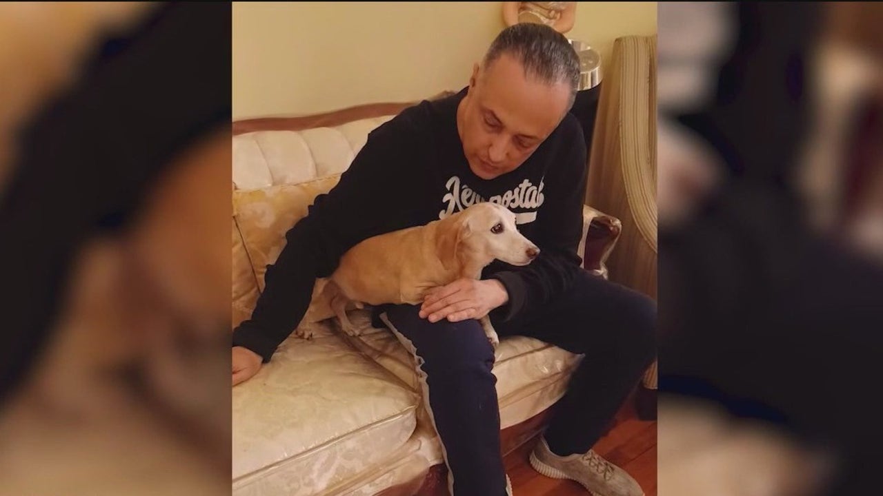 PETA joins search for blind Chicago man’s stolen emotional support dog
