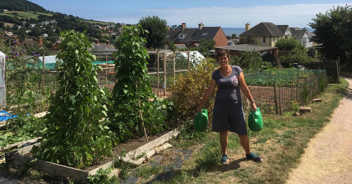 How to apply for an allotment in East Devon