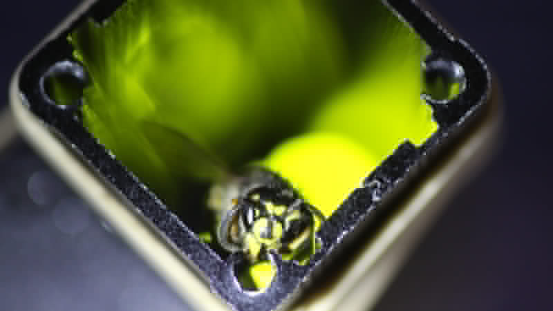 Comment on Artificial Intelligence Powers A Wasp-Killing Machine by benp968