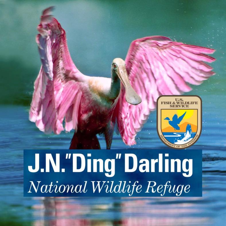 DDWS reports on refuge programming and more