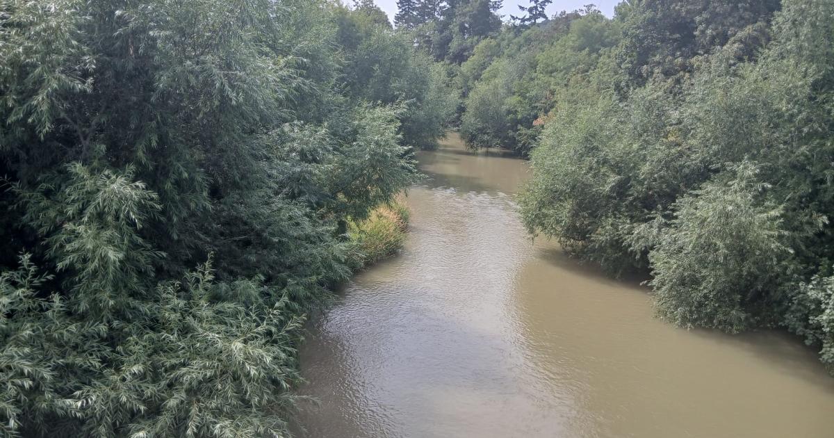 Newtown residents concerned as River Severn takes on 'murky brown' colour