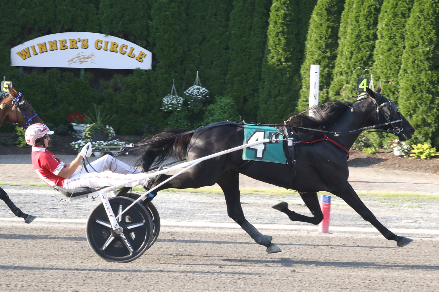 Blackhawk Zette too fast for rivals