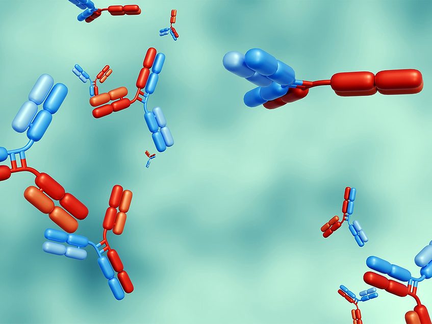 Debiopharm licenses Sunrock’s bispecific HER3/HER2 antibody