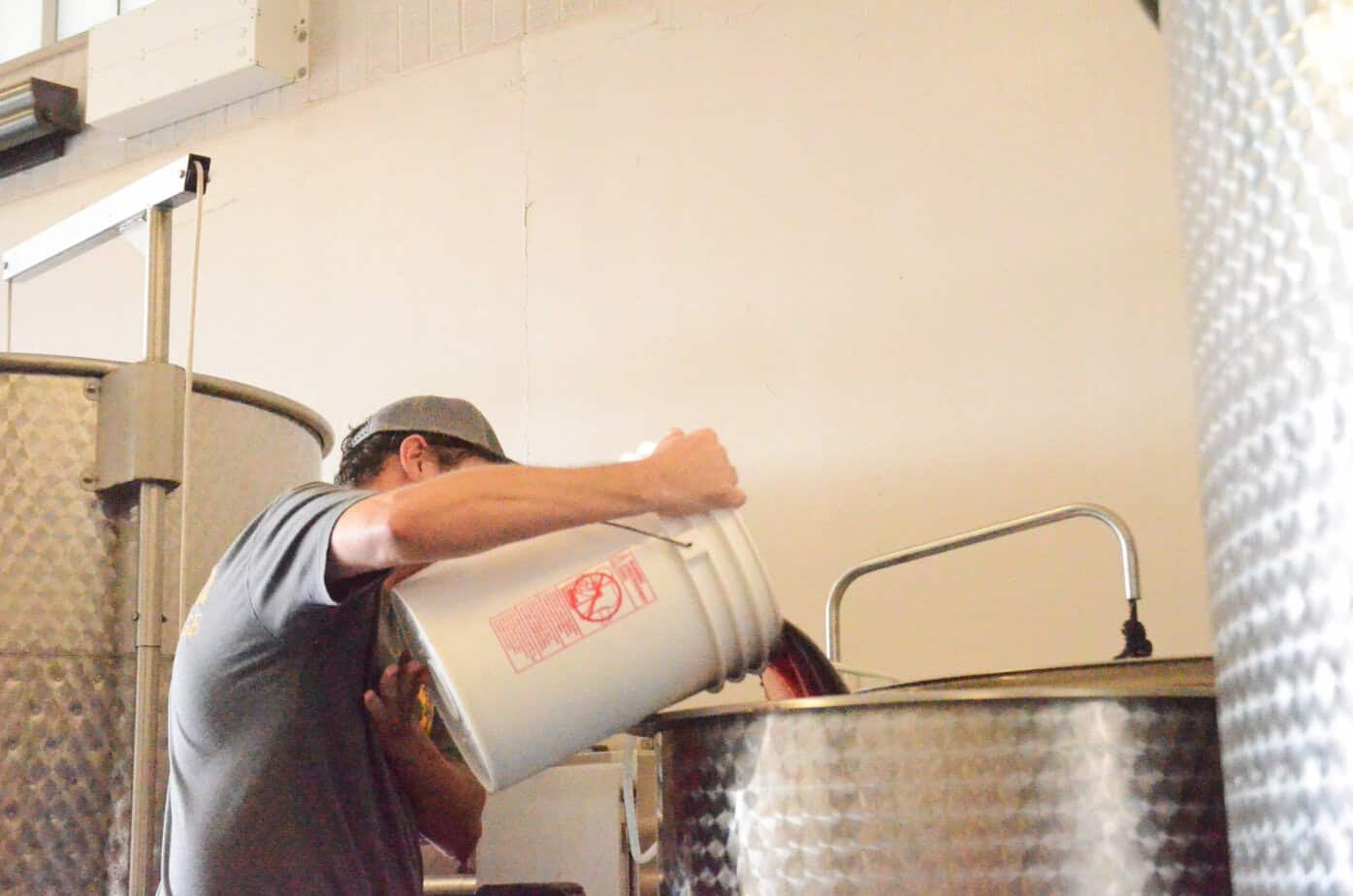 Students sip up wine class, learning viticulture and enology