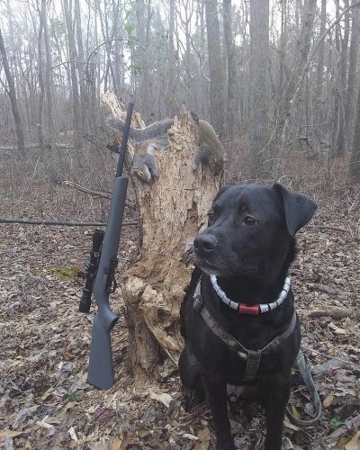 Kemp Declares August Shooting Sports Month in Georgia
