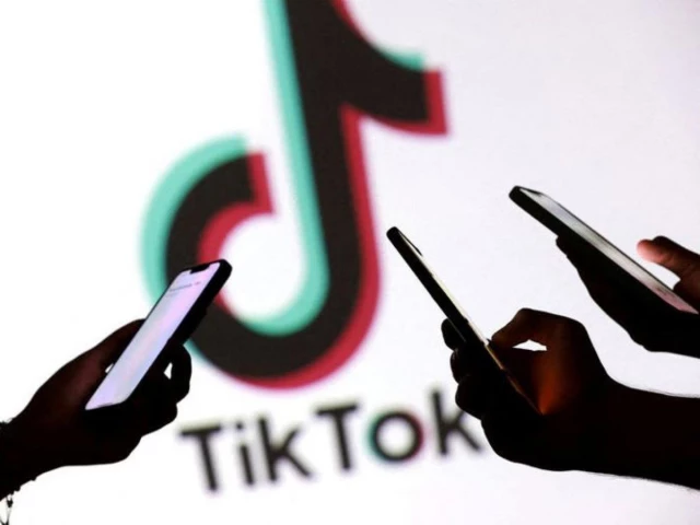 Indonesia halts TikTok registration citing missing streaming data, ministry says
