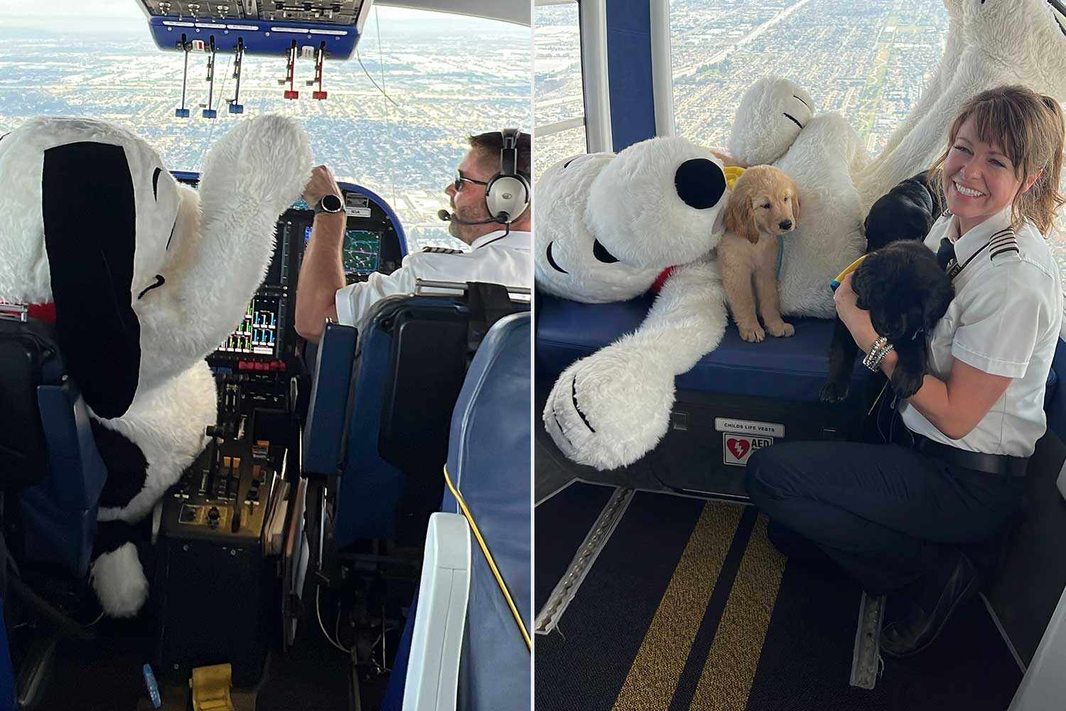 Puppies Beginning Service Dog Training Celebrate the Milestone with an Iconic Snoopy Blimp Ride