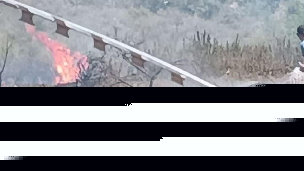 Suriye sınırında çıkan orman yangını büyümeden söndürüldü
