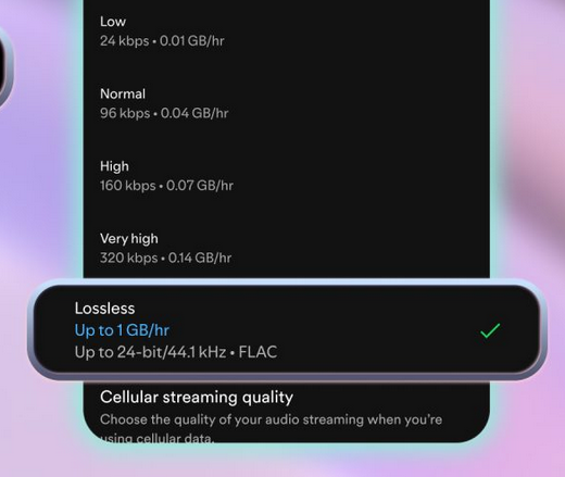 Spotify lossless is apparently not lossless on Windows, but a fix might be coming soon