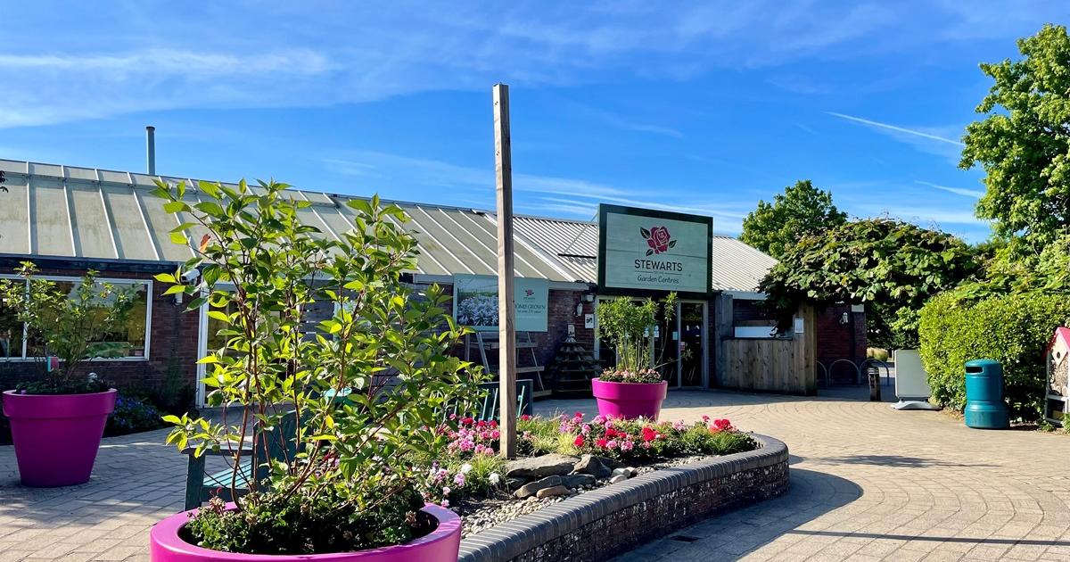 Dorset garden centres back national Help Out Hospitality scheme