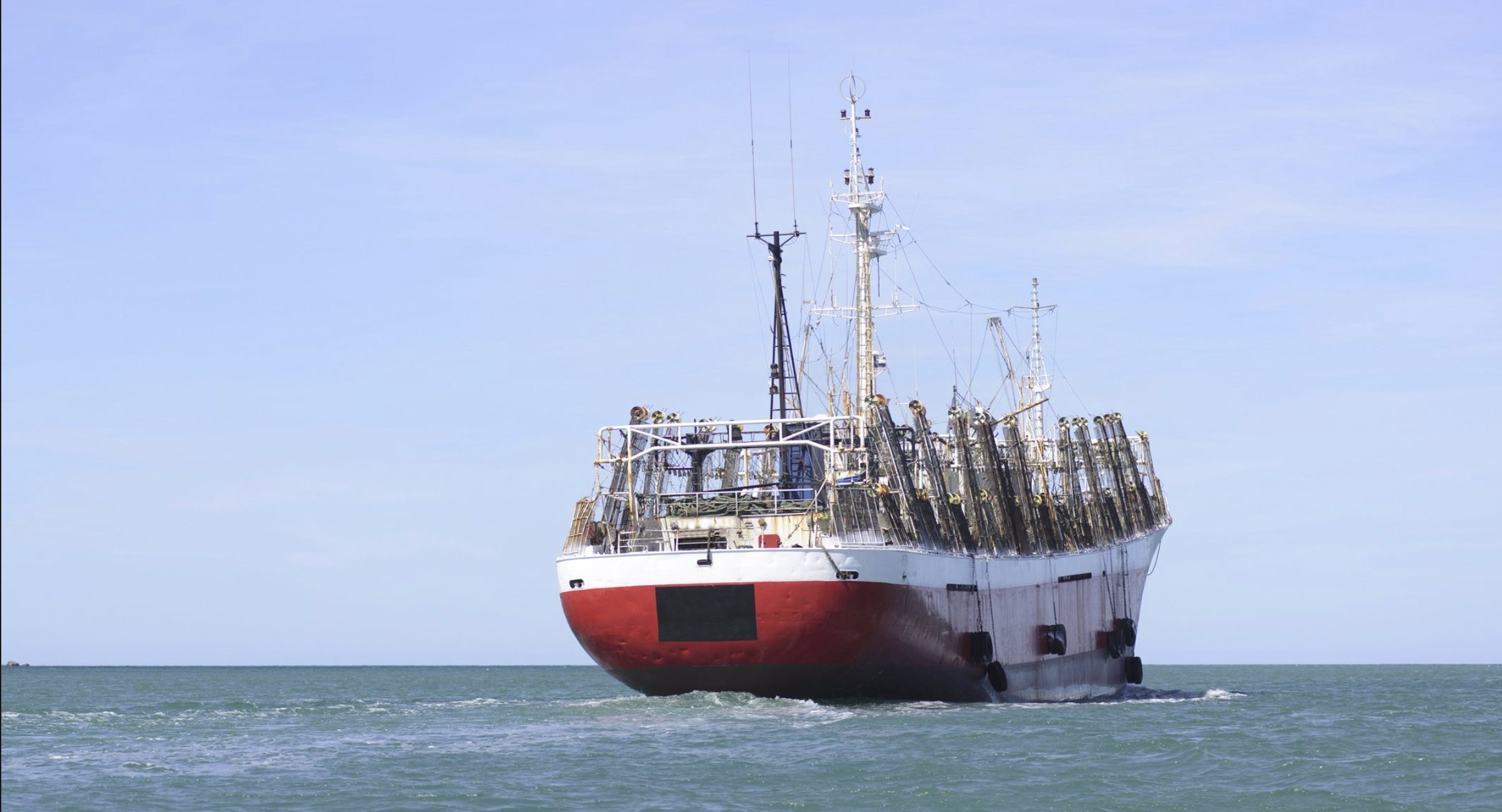 Argentina seafood exports near $2bn as squid boom offsets shrimp slump
