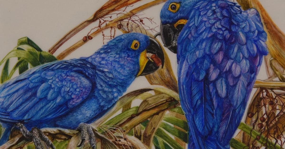 International miniature art exhibition to make Cirencester debut
