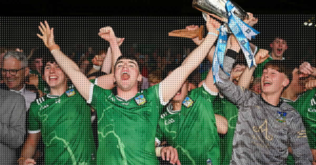 Limerick &amp; Tipperary Dominate 2026 Electric Ireland Hurling Minor Star Team of the Year