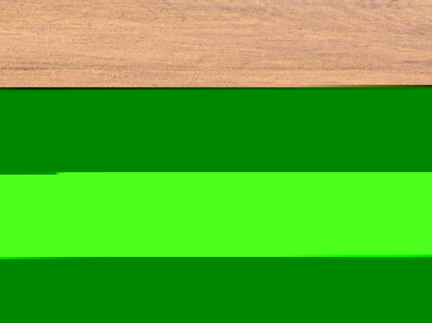 New regulations for Minnesota hunters this season