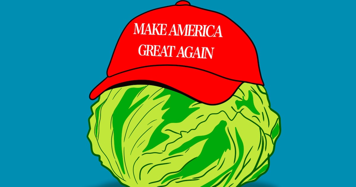 MAGA Lettuce Grower Scrubs Apology Claim as Backlash Grows