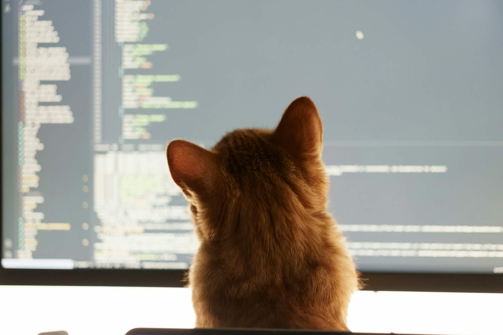 ‘Vibe coding’ is fun and easy, but there’s a major catch