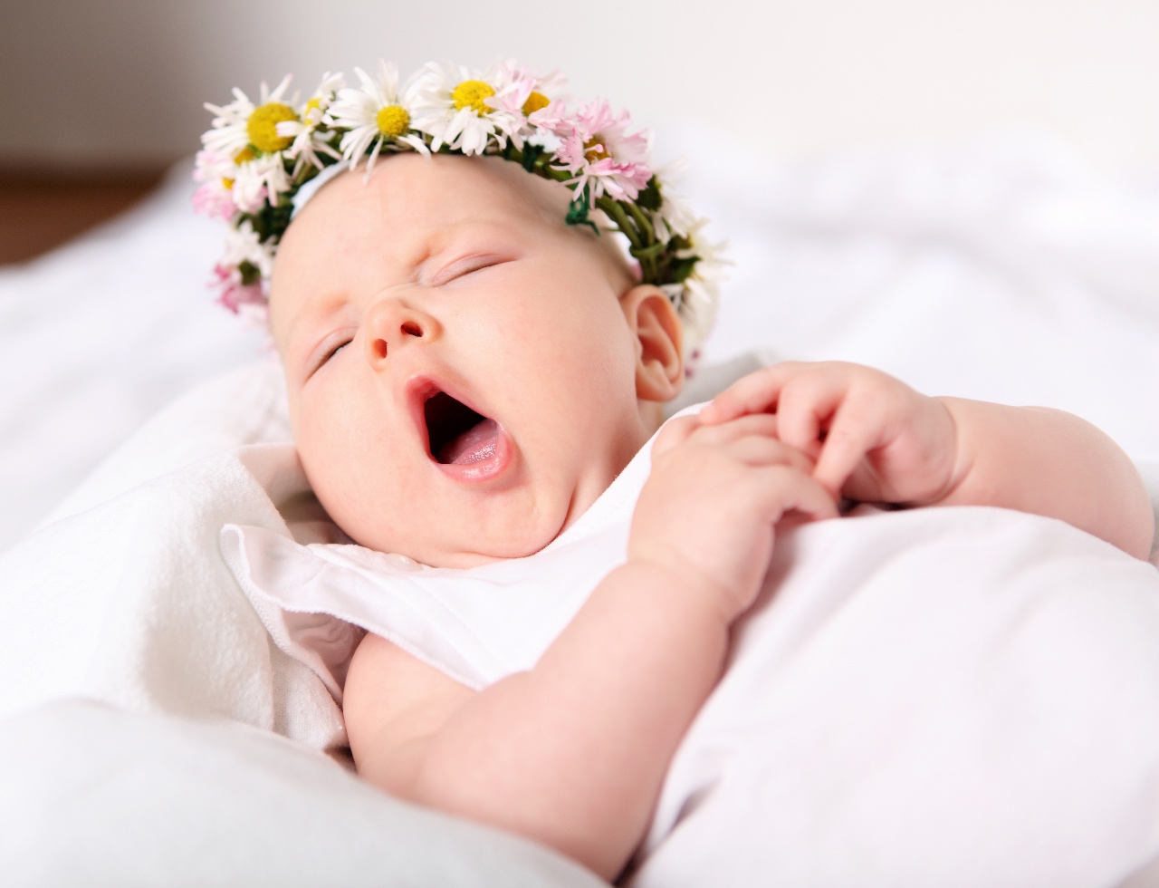 October baby's birth flowers are bursting with meaning – here’s what they say about your little one's personality