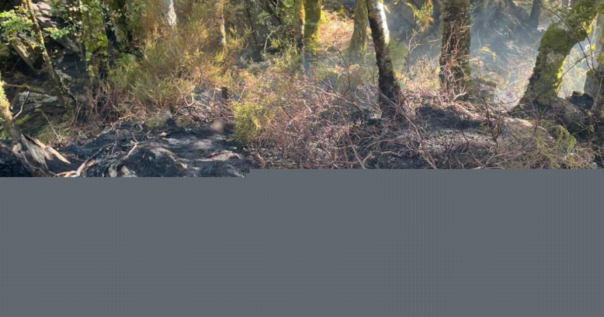 Crews remain at scene of 'deliberate' wildfire in Gwynedd as police investigate