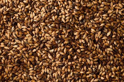 French company expanding use of malt