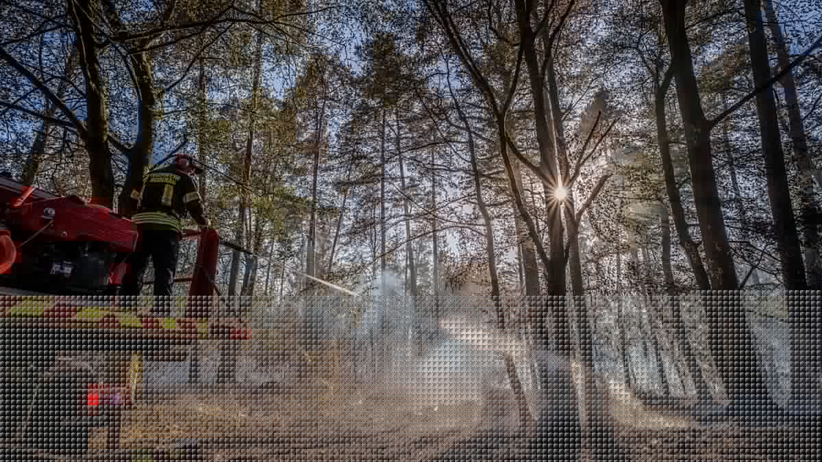 Waldbrände in Deutschland: Landkreis ruft zum Verzicht auf Duschen und Baden auf