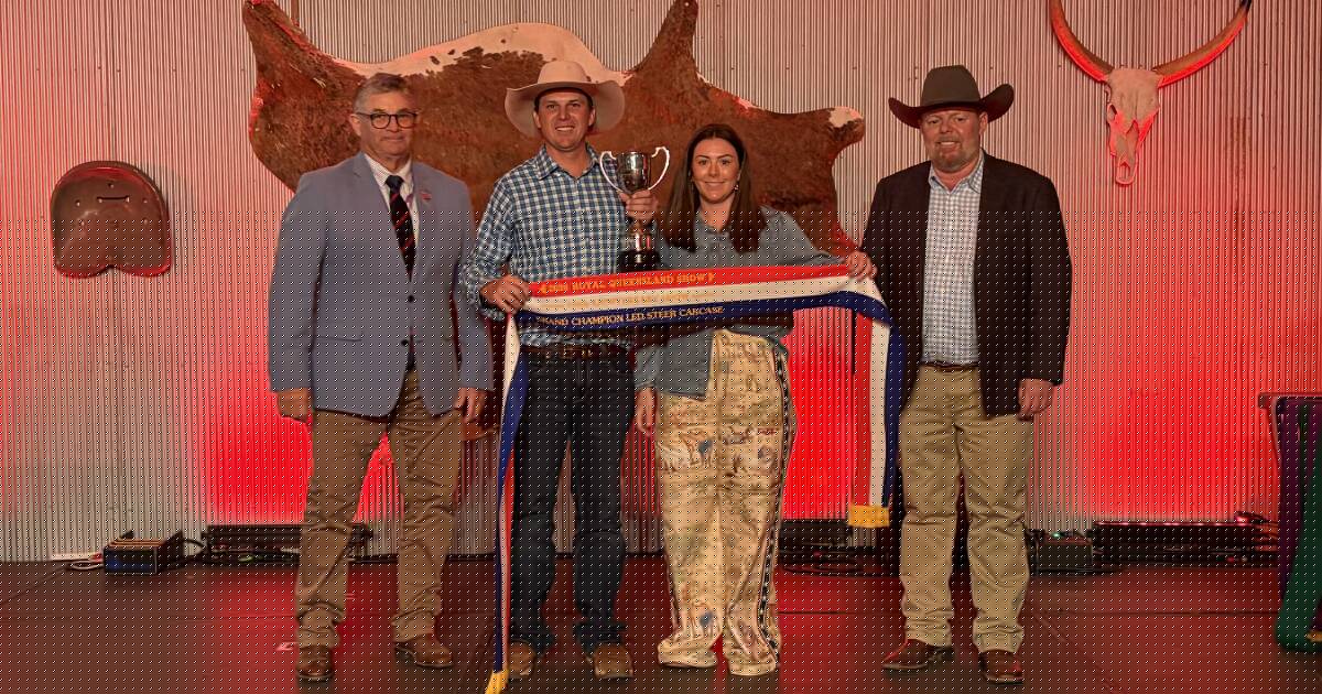 Lightweight steer's 92 points secures Ekka 2026 carcase championship