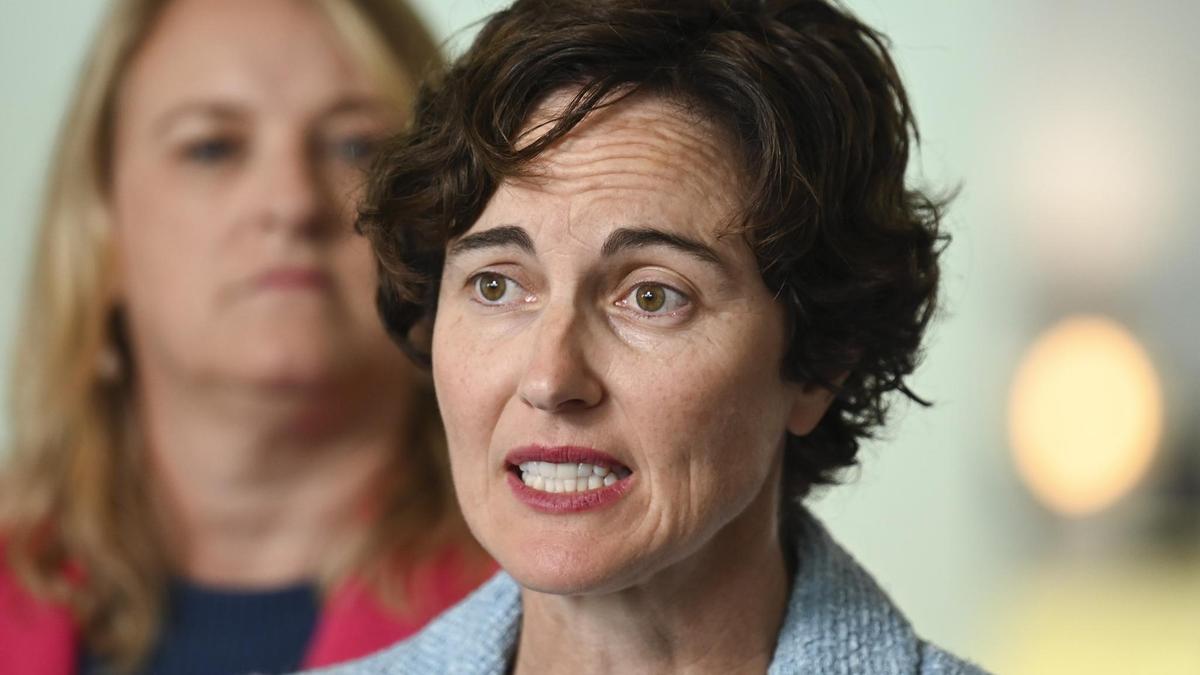 MP’s bid to force debate on voluntary assisted dying telehealth support