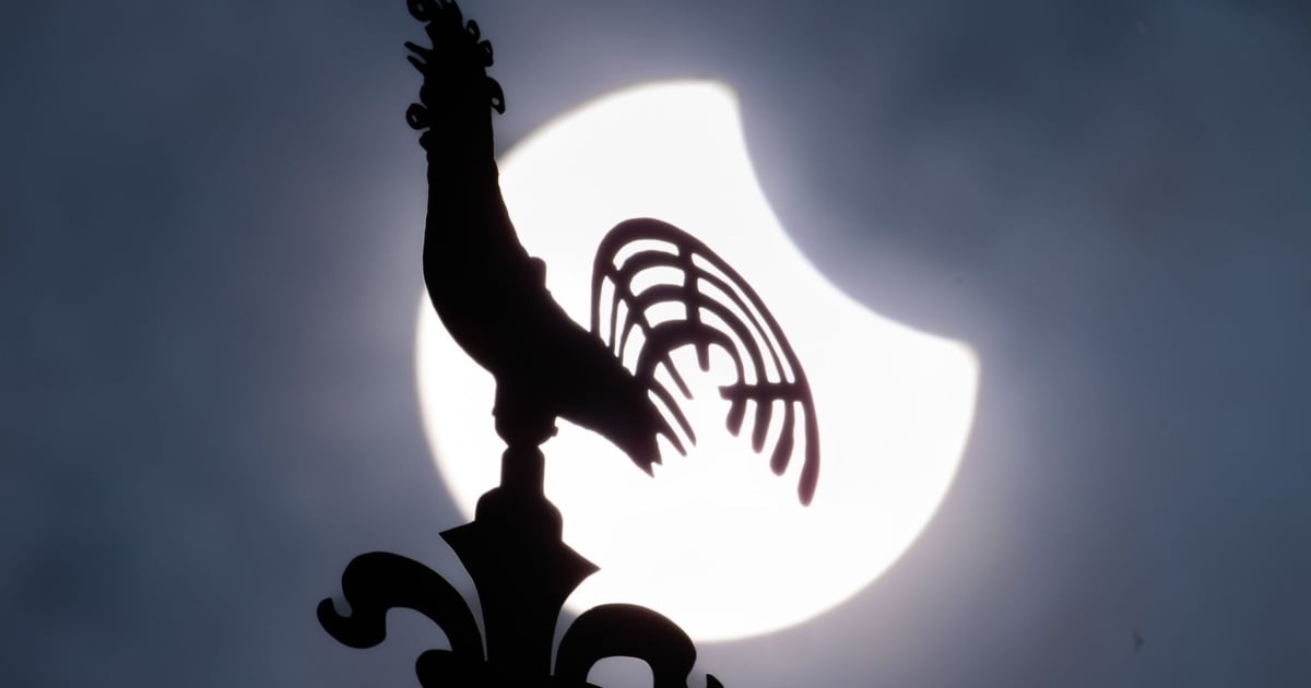 Gibt mehrere Arten - Was passiert bei einer Sonnenfinsternis?