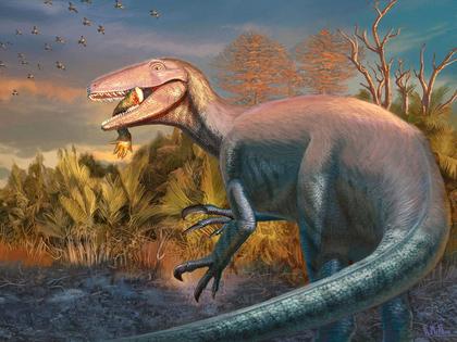 Scientists discover new dinosaur from Argentina with crocodile bone in its mouth