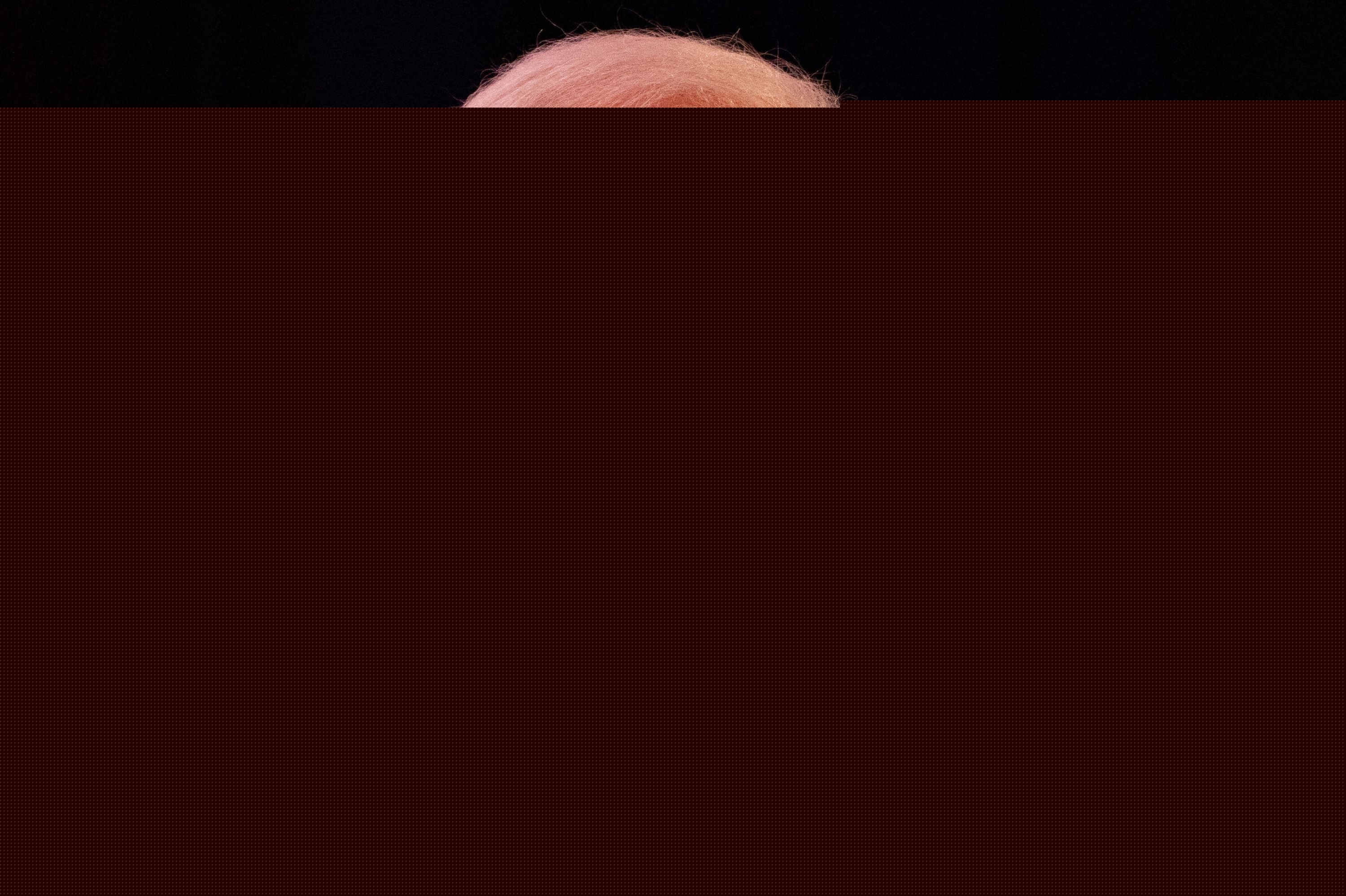 La « plus grande erreur » de Joe Biden durant sa présidence, selon son fils Hunter