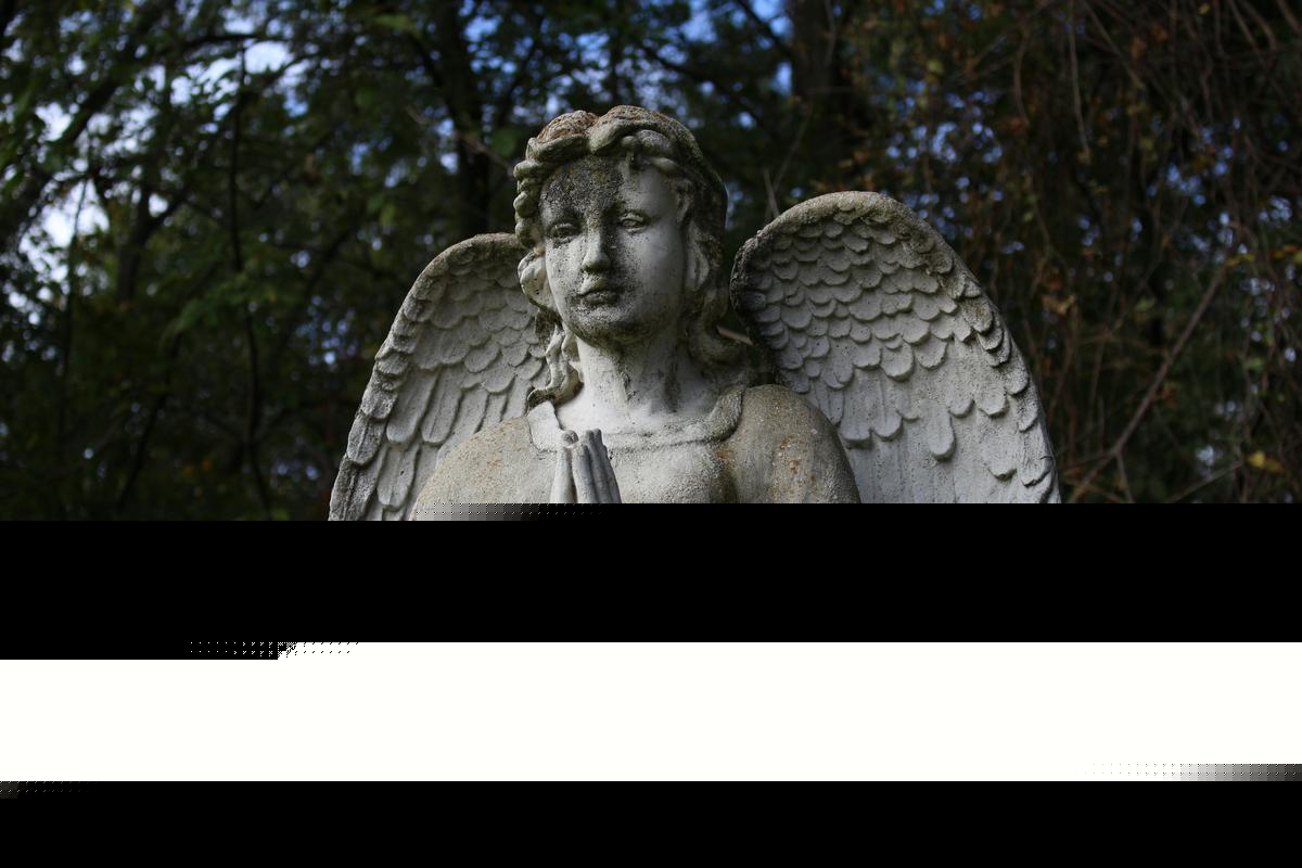 Can You Avoid Property Taxes by Burying Family on Texas Land?