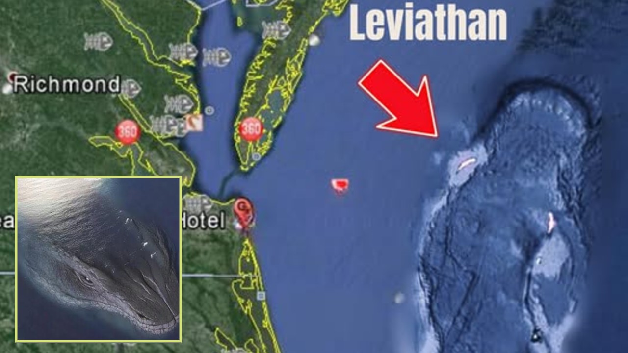 Leviathan Waking Up Near Virginia