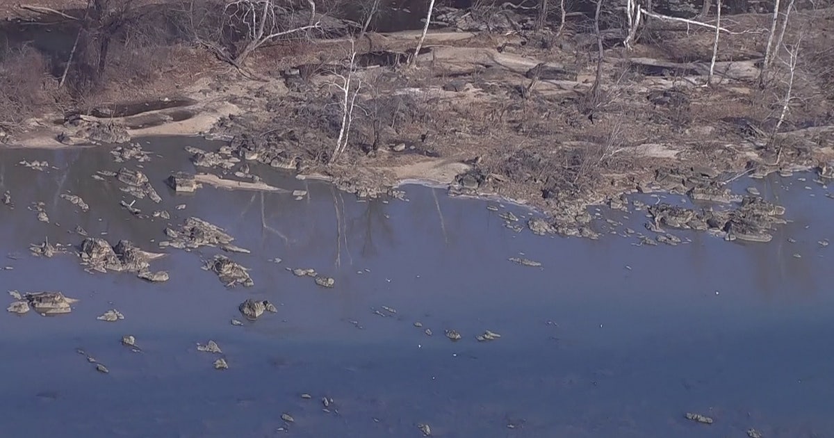 Nearly 300 million gallons of sewage has entered Potomac River, environmental group says