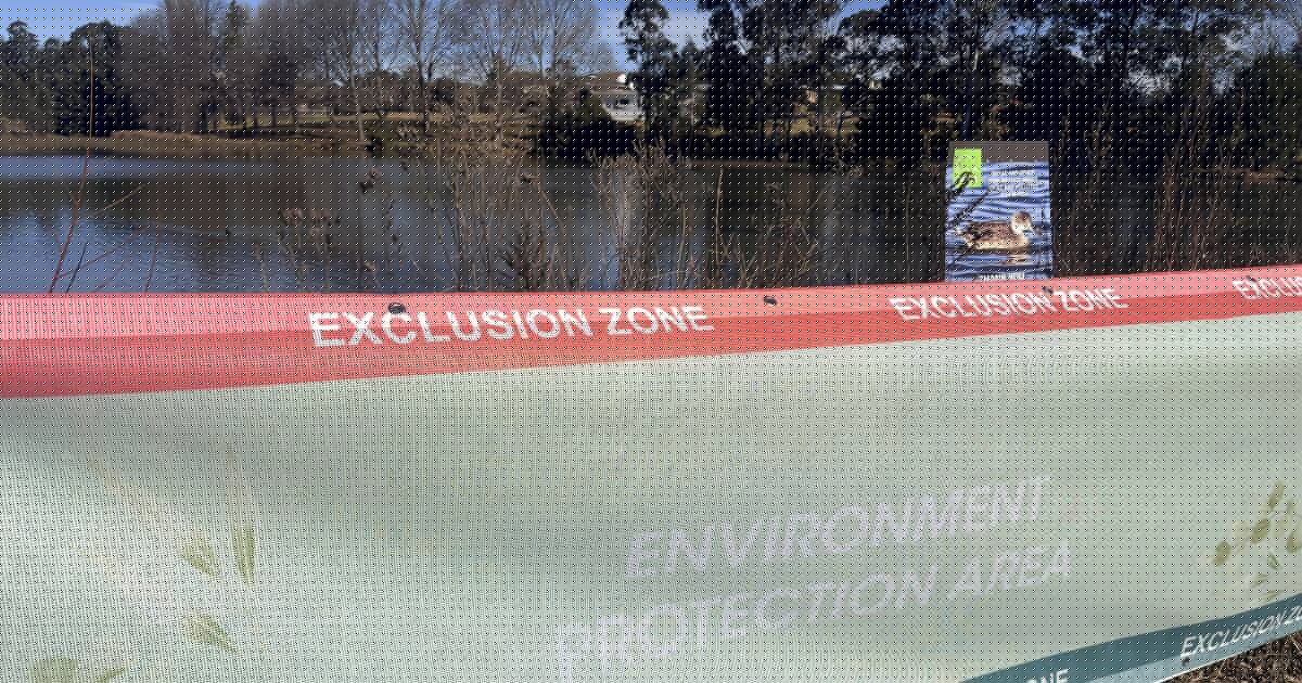 Algae warning issued for Bega lagoon: What it means for your drinking water and your pets